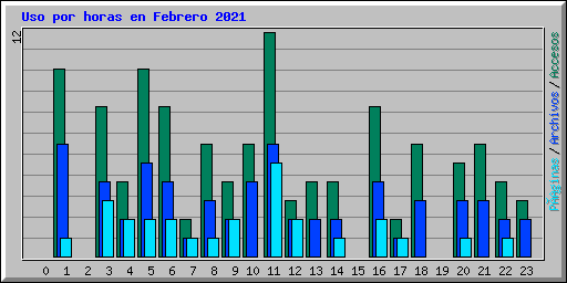 Uso por horas en Febrero 2021